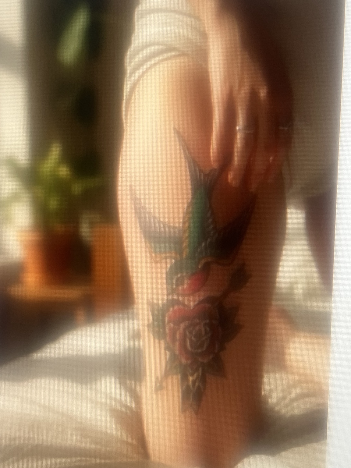 Rose tattoo with color and shading